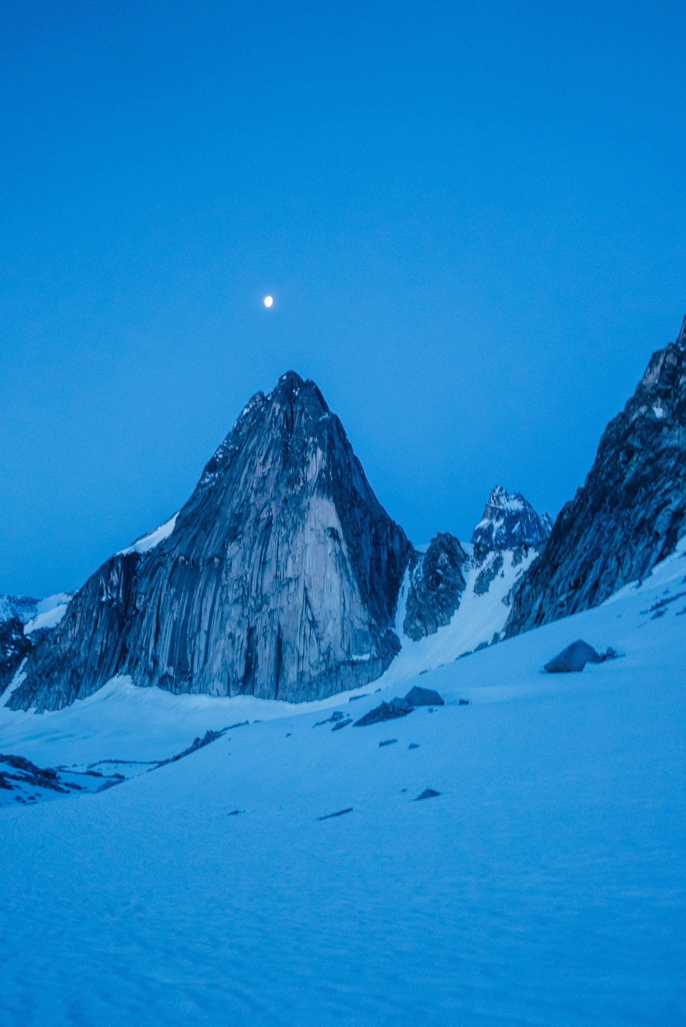 2019-HADLEY-BUGABOOS-3.jpg