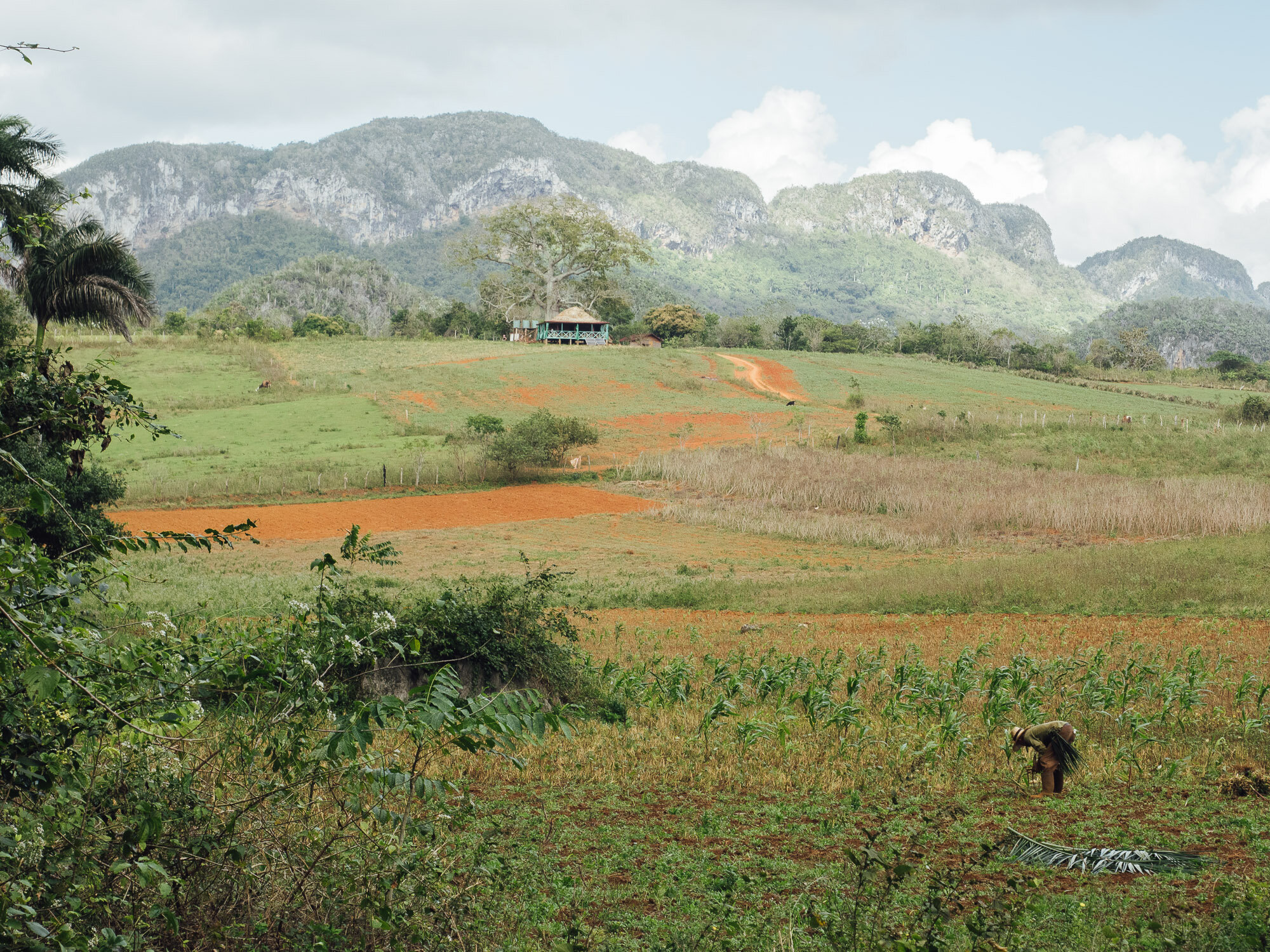 2020-HADLEY-CUBA-22.jpg