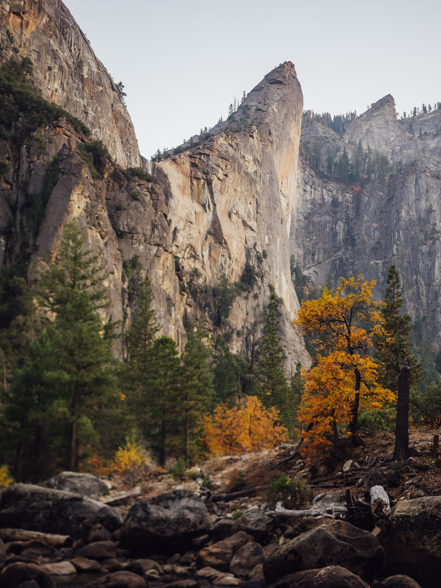 HADLEY-2017-YOSEMITE-5.jpg